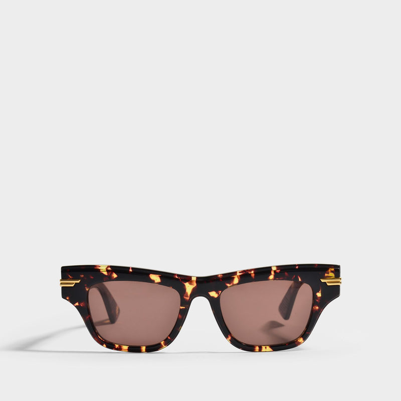 Sunglasses in Brown Acetate