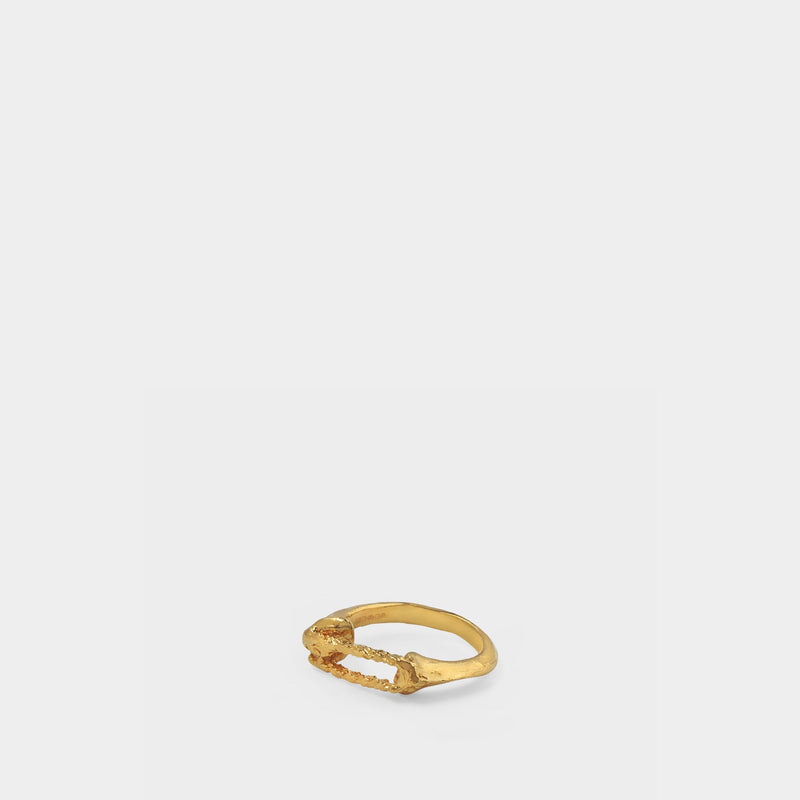 The Uncharted Seas Ring in Plated Gold Silver